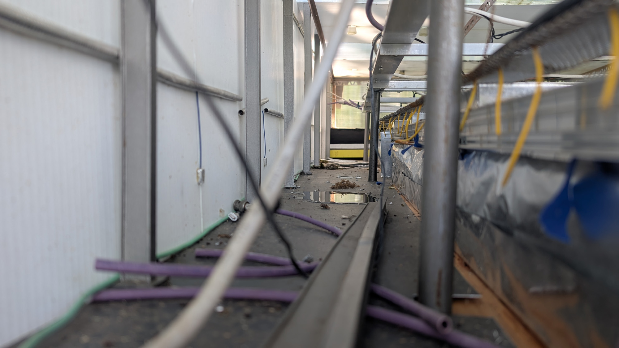 cold data [on farm 2]